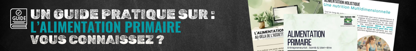 Bannière Promotion du guide pratique sur la santé des entrepreneurs